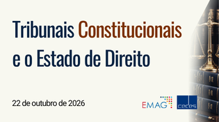 Tribunais Constitucionais e o Estado de Direito